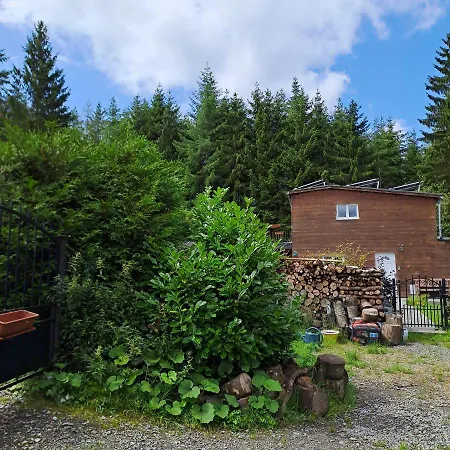 Sublime Foret Rendeux