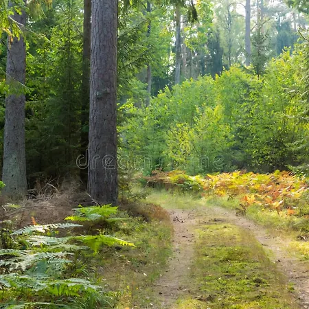 Sublime Foret Pensjonat