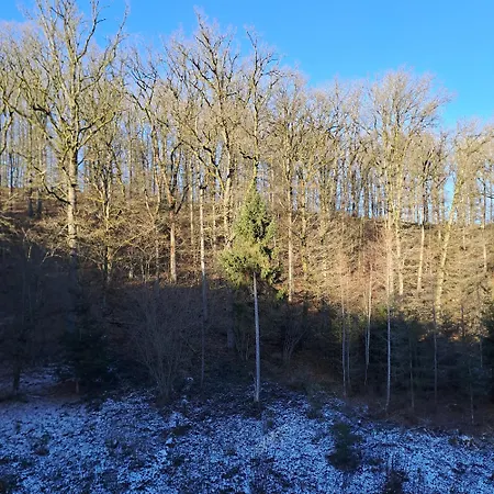 Sublime Foret 3* Rendeux