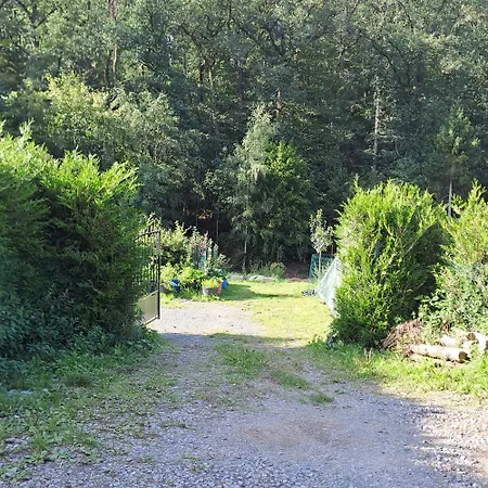 Sublime Foret 3*