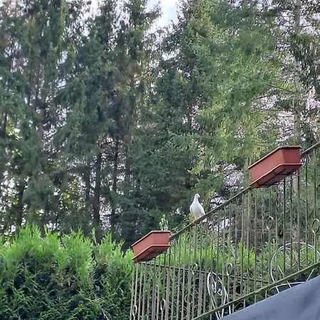 Sublime Foret בית הארחה 3*