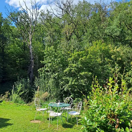 Sublime Foret Rendeux